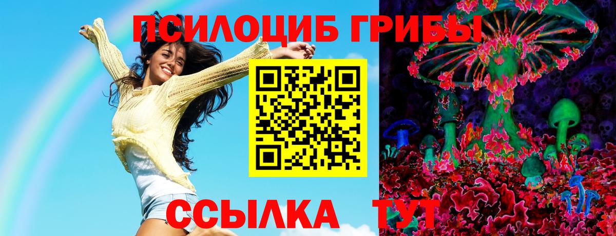 Кемерово  Псилоцибиновые грибы MAGIC MUSHROOMS  Вход с VPN  Галлюциногенные грибы мицелий 